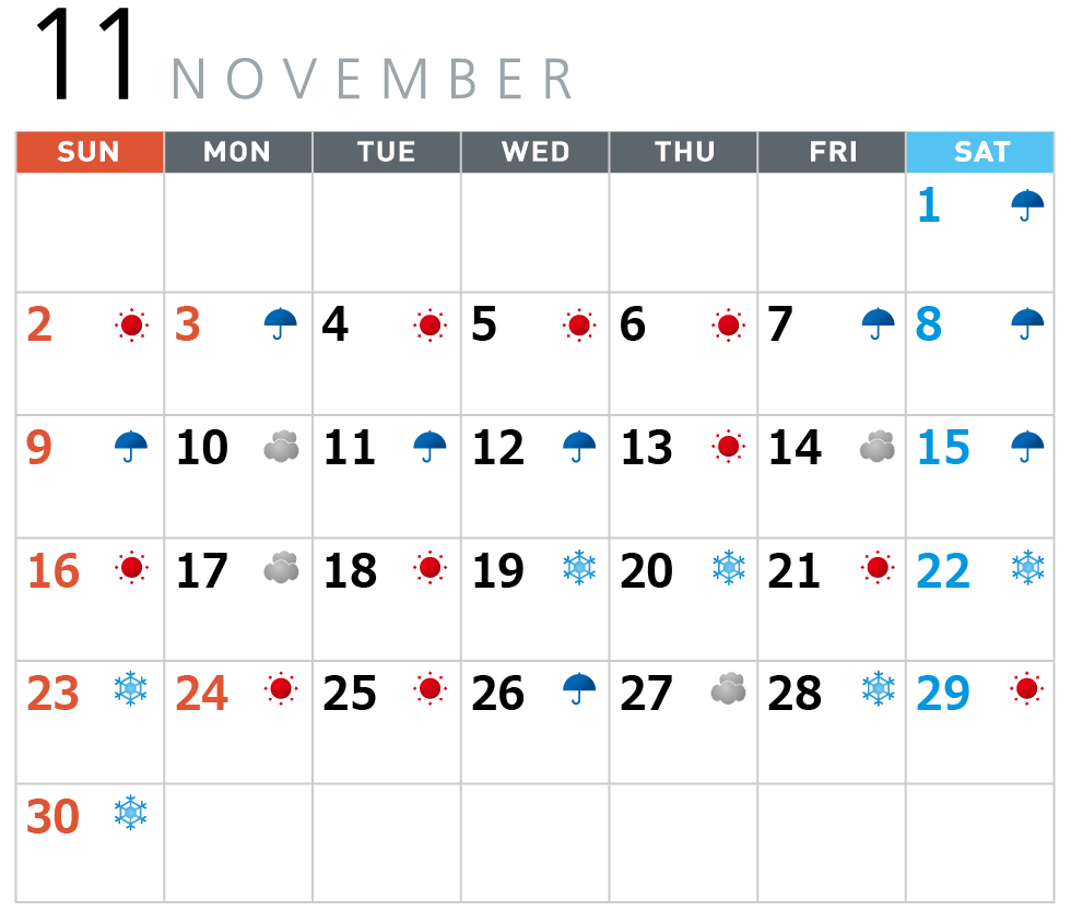 11月